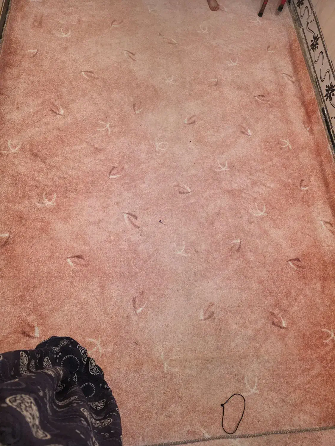 موکت  سالم و بدون پارگی|موکت|کرمانشاه, |دیوار