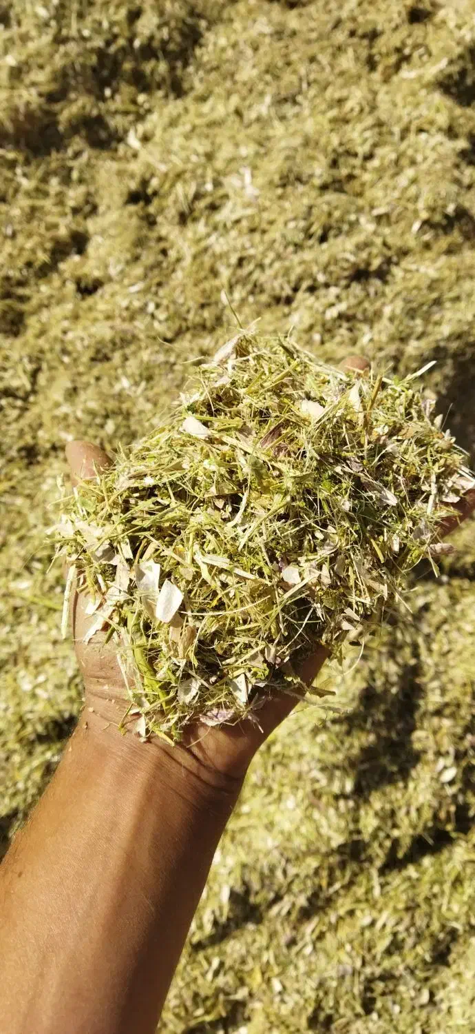 کاه وکاه لوبیا|لوازم جانبی حیوانات|کبودرآهنگ, |دیوار