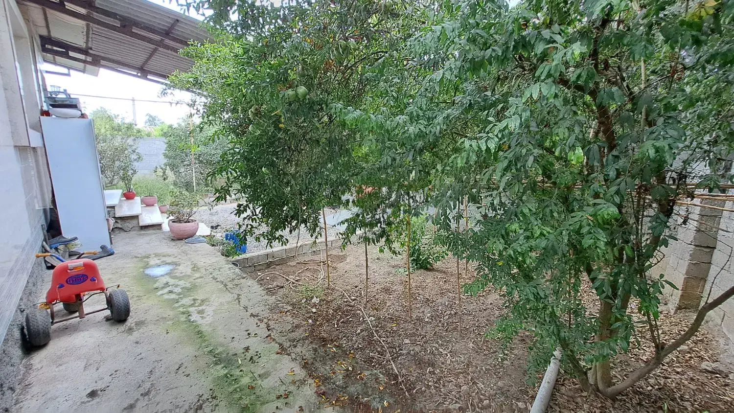 ویلا420متری/باسندتک برگ|فروش خانه و ویلا|فریدون‌کنار, |دیوار