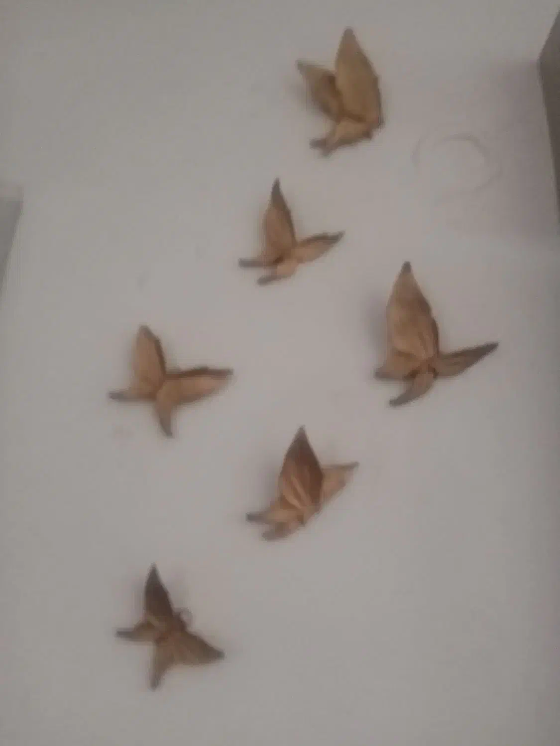 تعدادی وسایل دکوری ب فروش میرسد با قیمت مناسب|صنایع دستی و سایر لوازم تزئینی|تربتحیدریه, حسنی بالا|دیوار