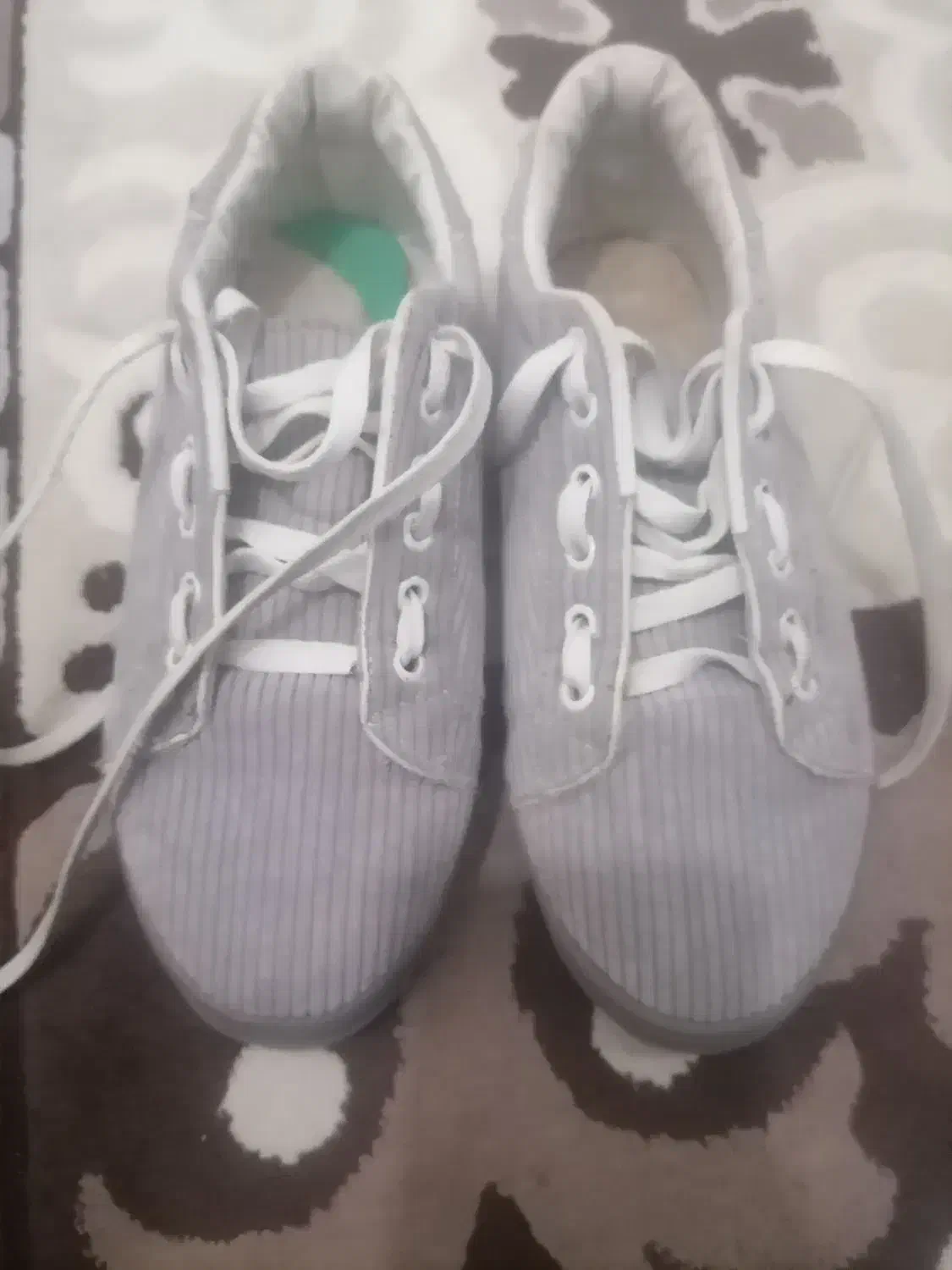 کالج زنانه|کیف، کفش، کمربند|قم, حکمت شمالی|دیوار