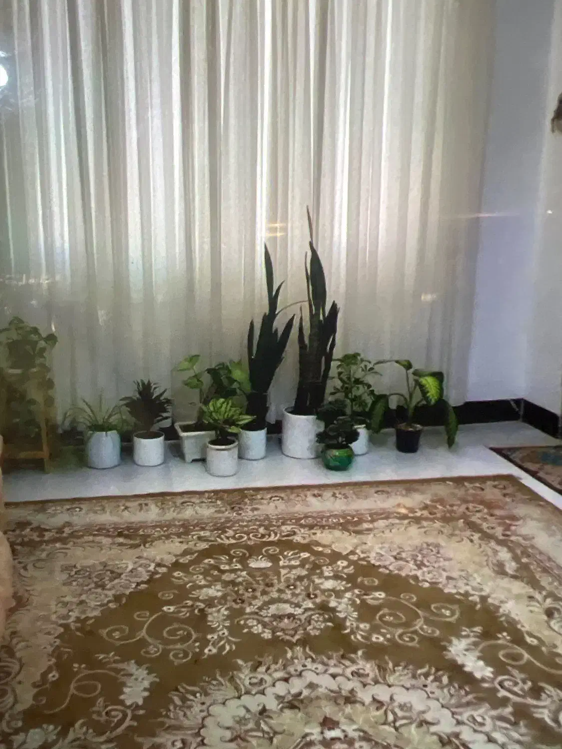 سوییت|اجارهٔ کوتاهمدت آپارتمان و سوئیت|نیشابور, هفده شهریور|دیوار