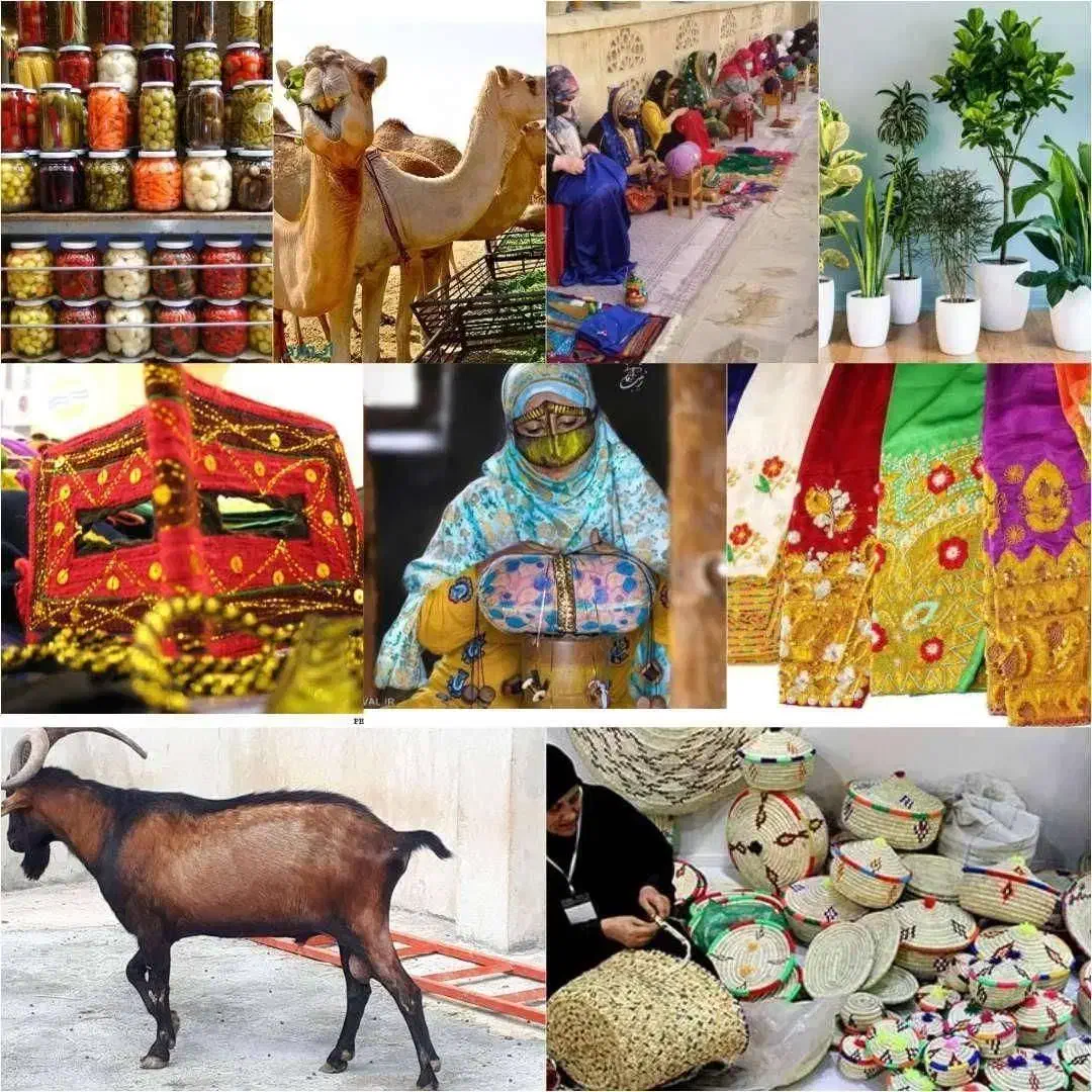 مداارک ازصنایع دستی|خدمات آموزشی|بندرعباس, |دیوار