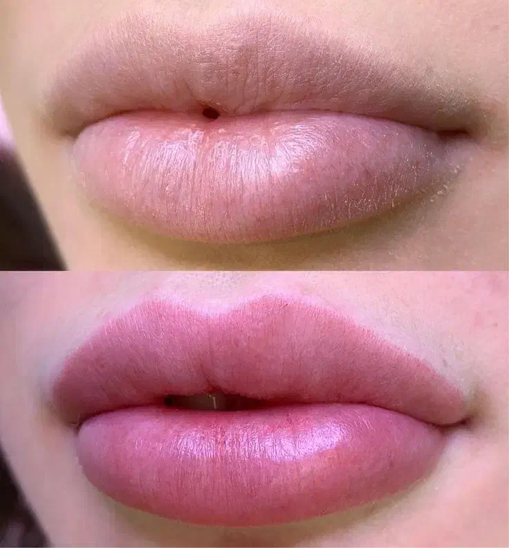 شیدلب تتوبدن و نقش حنا فقط برای خانوما|خدمات آرایشگری و زیبایی|کرمانشاه, |دیوار