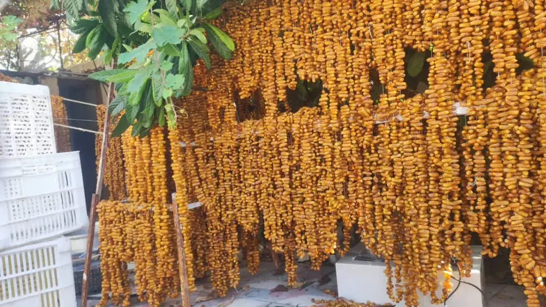 خارک بند شده|عمدهفروشی|خفر, |دیوار