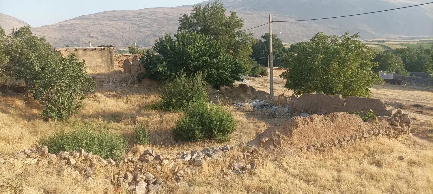 زمین ساختمانی|فروش زمین و ملک کلنگی|دینور, |دیوار