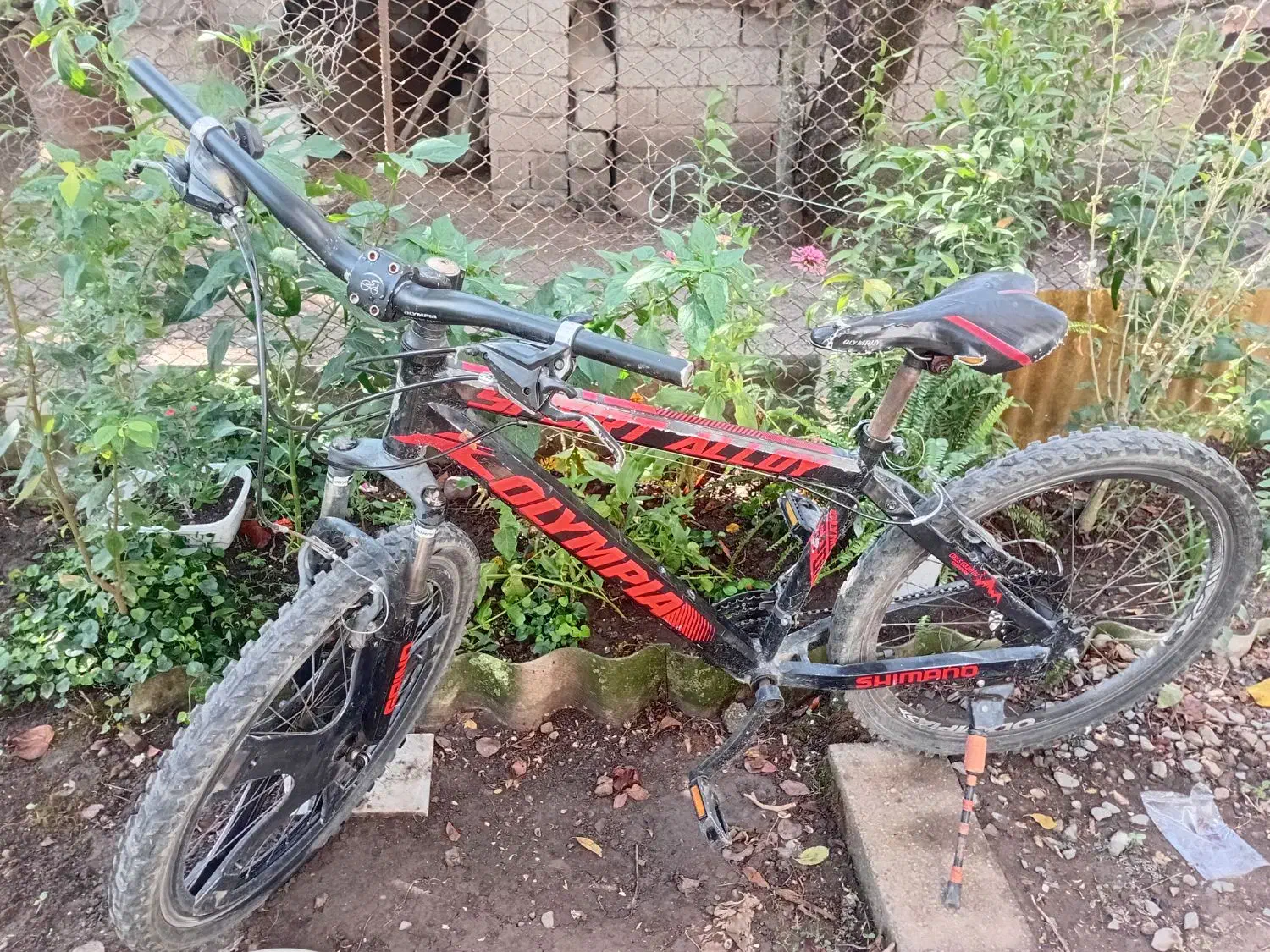 فروش دوچرخه|دوچرخه، اسکیت، اسکوتر|آستارا, |دیوار