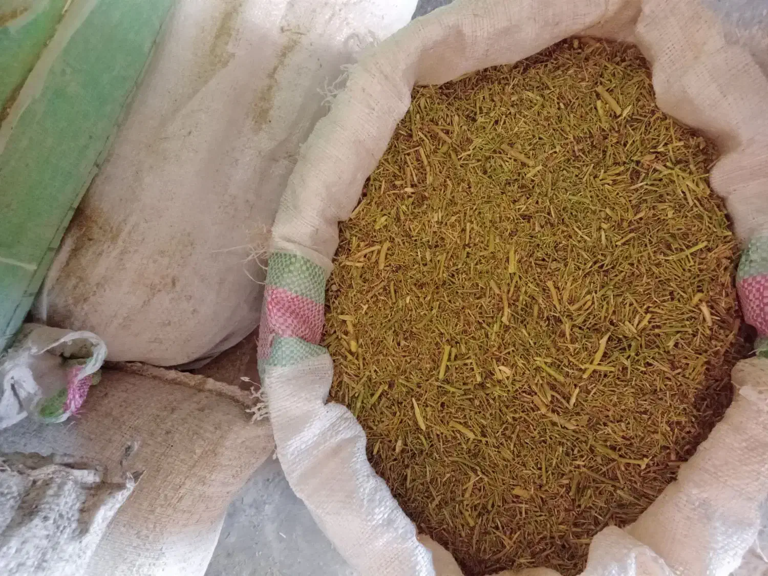 خارشتری نرم|لوازم جانبی حیوانات|رضویه, |دیوار