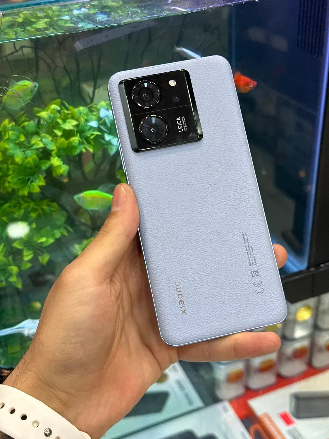 13T|موبایل|شیراز, زند|دیوار