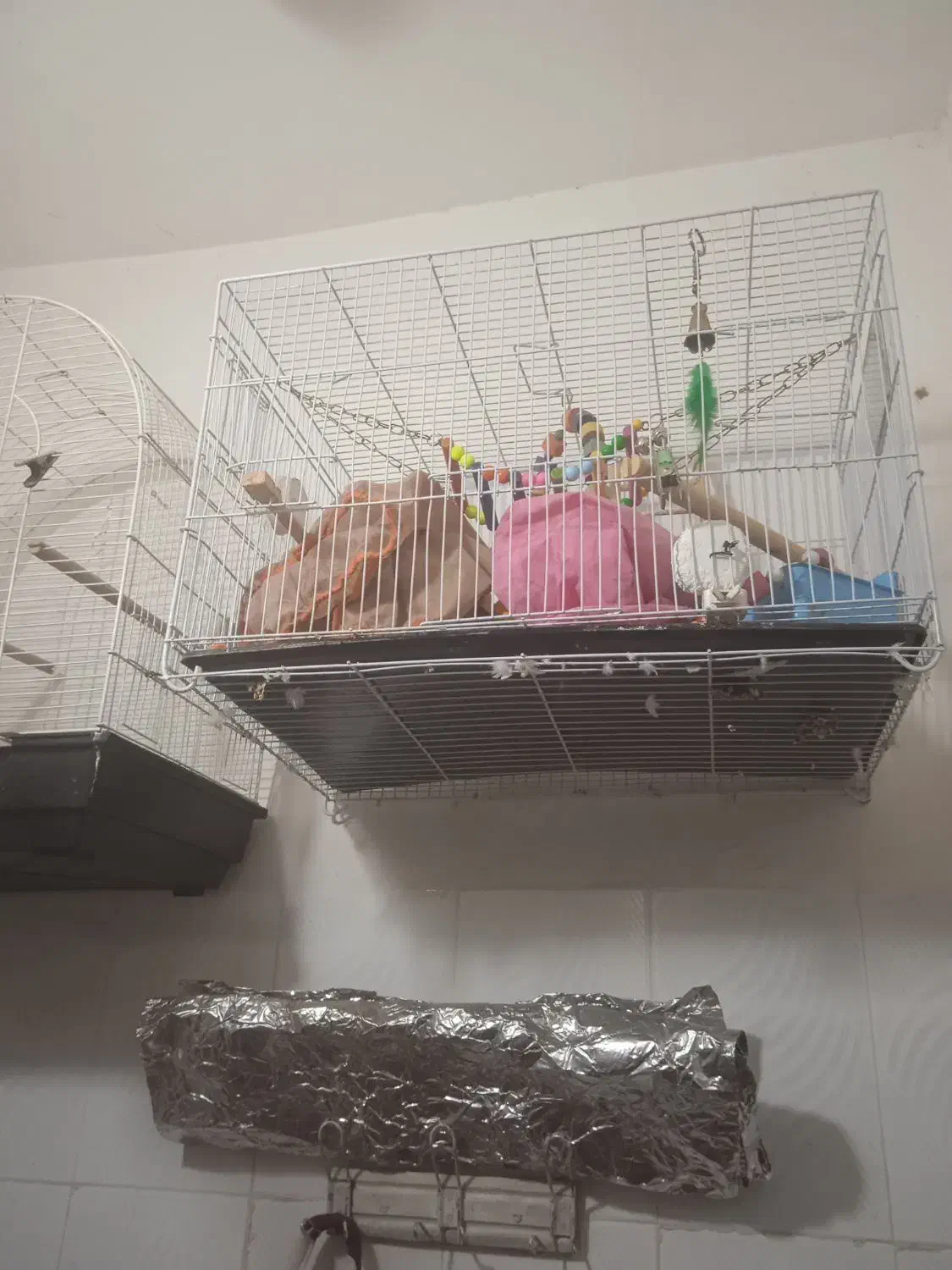 قفس پرنده دو عدد بزرگ و پایه دار دانه 500|لوازم جانبی حیوانات|تربت‌حیدریه, بهشت عسکری|دیوار