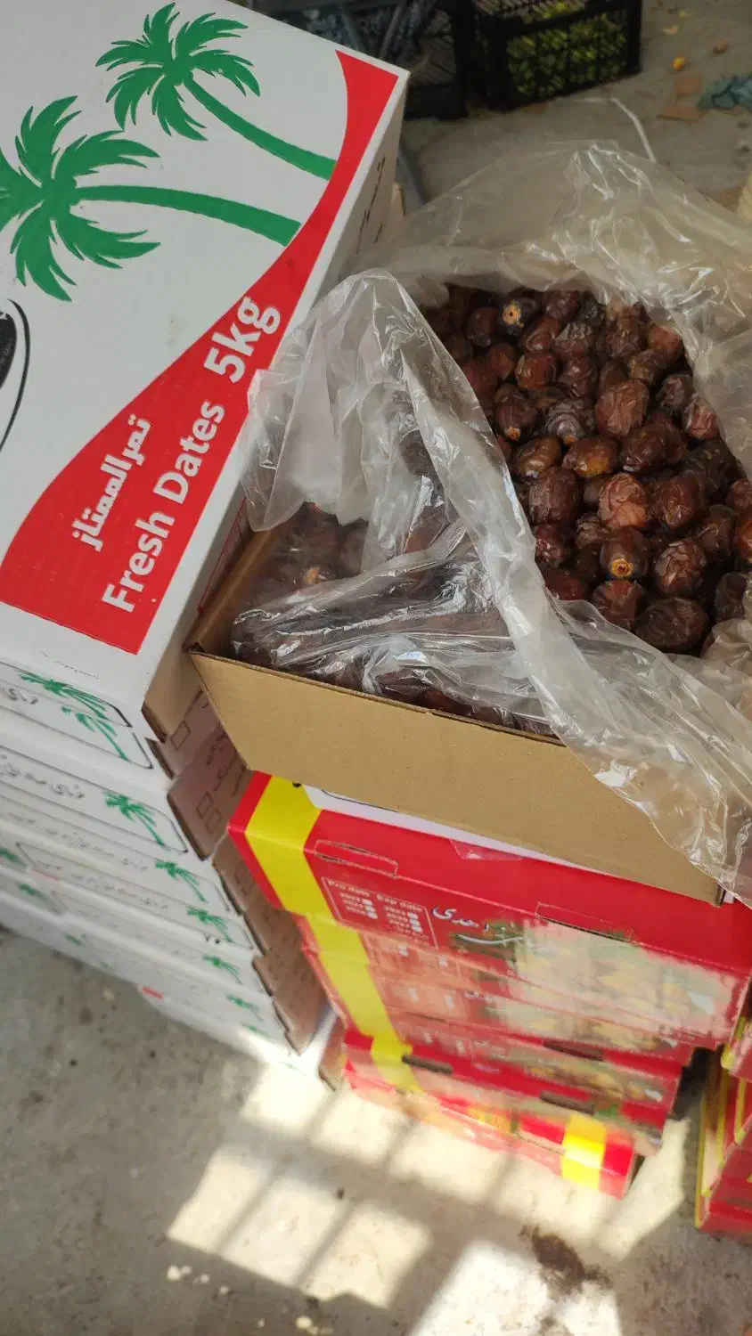 خرما برحی|خوردنی و آشامیدنی|شیراز, بازار|دیوار