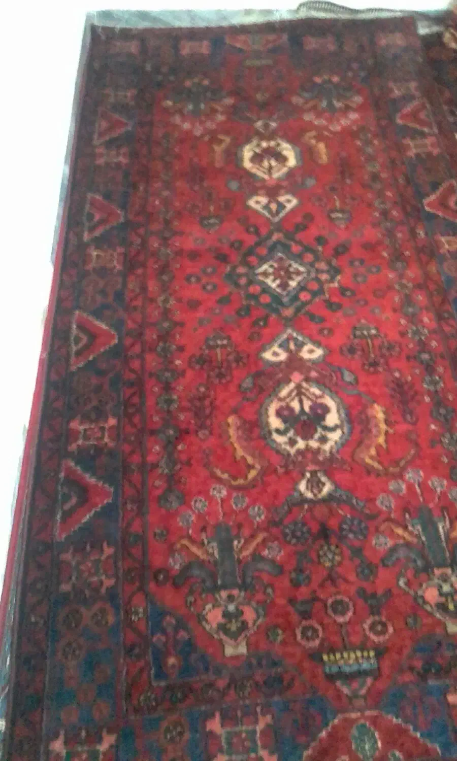 قالی دست بافت|فرش|بروجرد, |دیوار