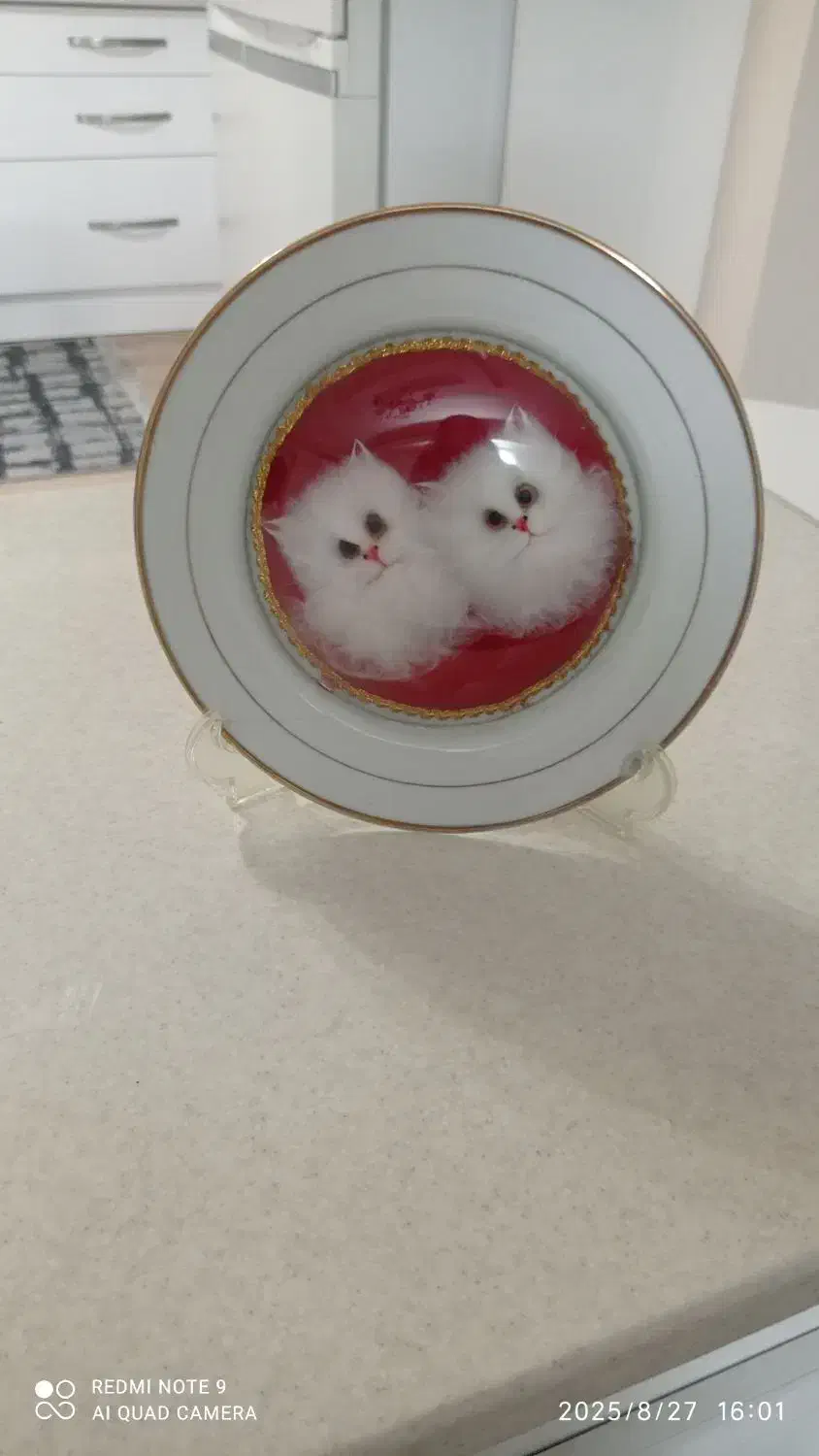 فروش تعدادی وسایل قدیمی و عتیقه /دیس /بشقاب|کلکسیون اشیاء عتیقه|مشهد, کوثر|دیوار