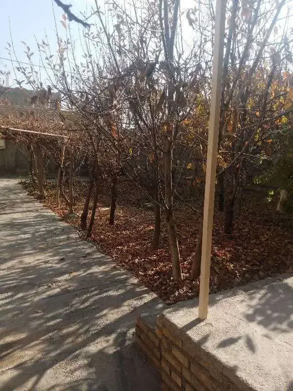 منزل ویلایی فروشی چناران روستای گهوه|فروش خانه و ویلا|چناران, |دیوار