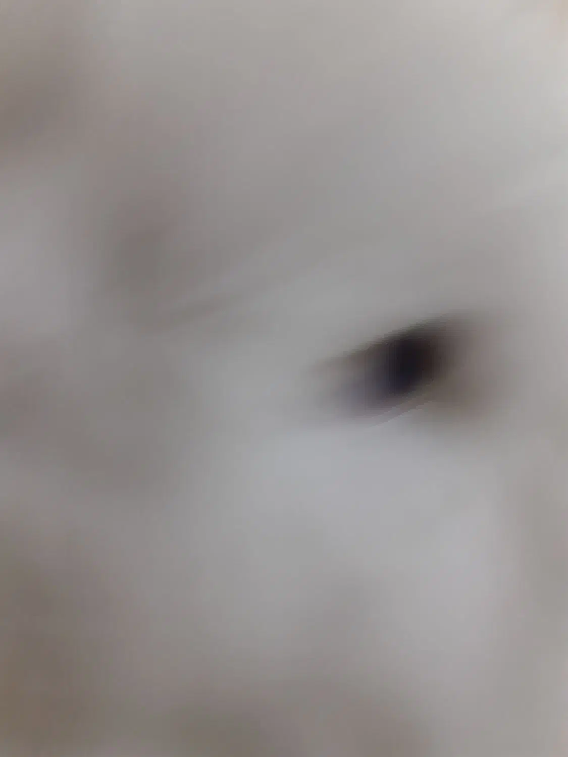 خر گوش|موش و خرگوش|تهران, بیسیم|دیوار