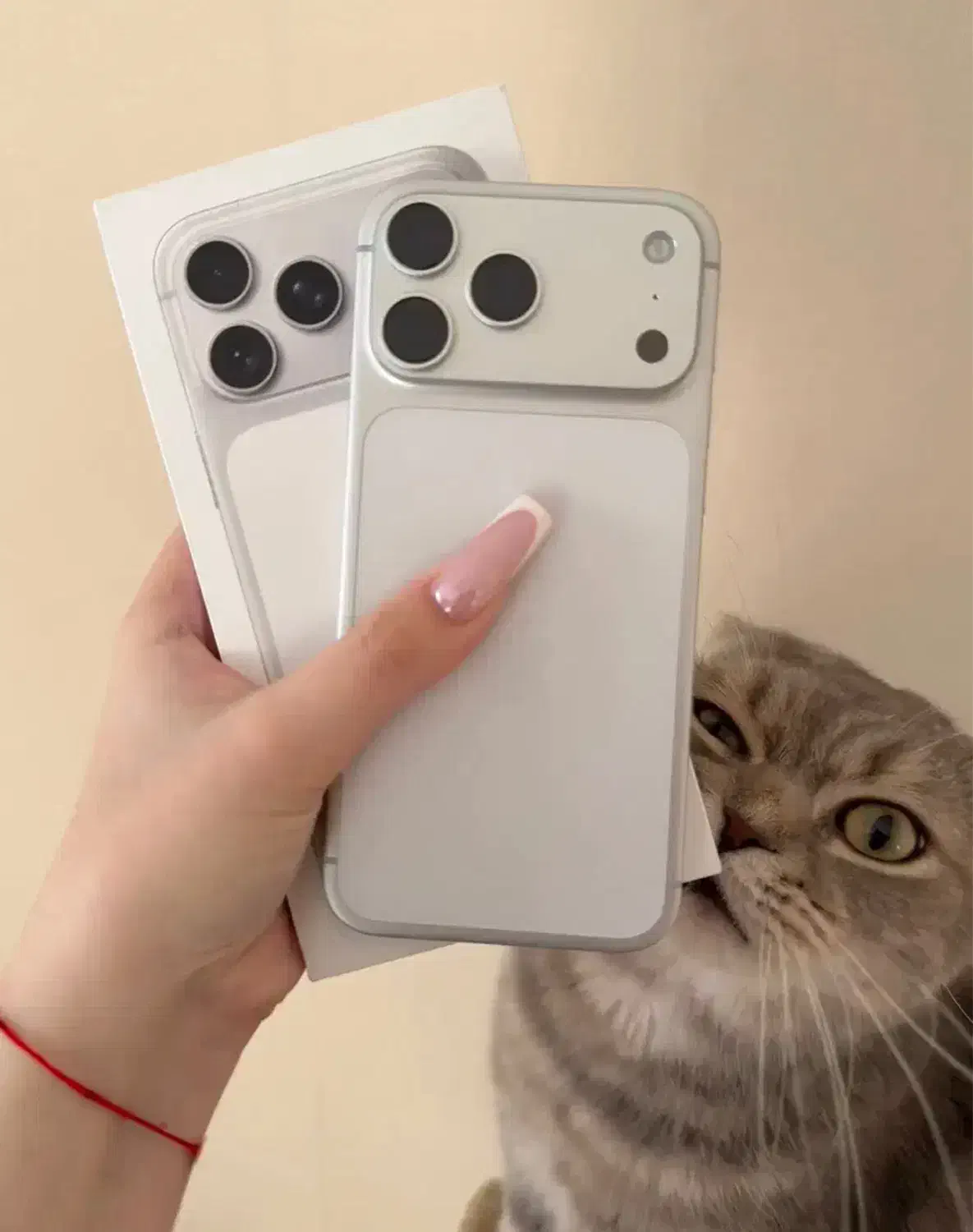 17POROMAX SiLVER|موبایل|شیراز, فرهنگ شهر|دیوار