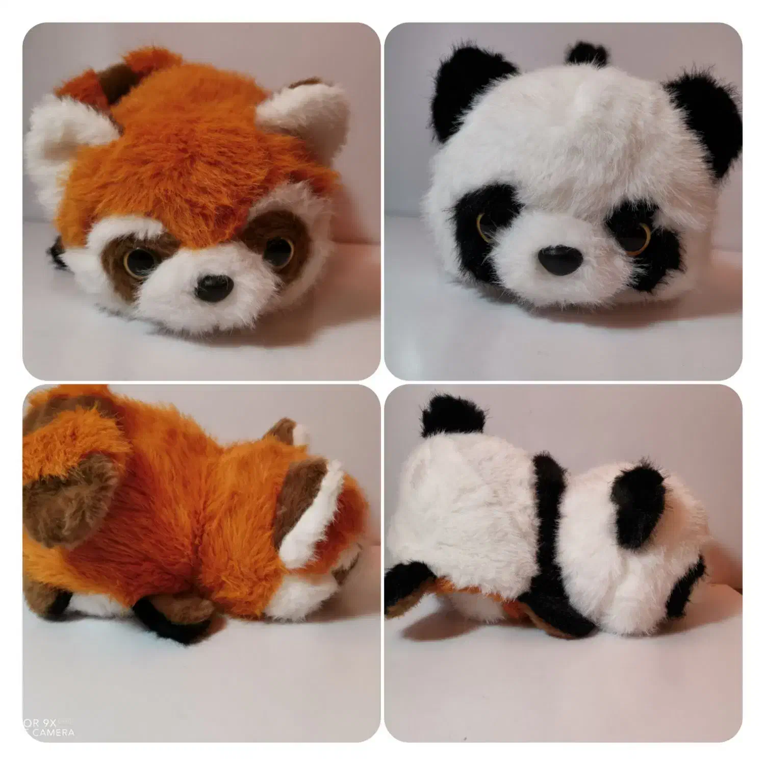 عروسک دوقلوی پاندا و راکون|اسباببازی|شیراز, شهرک مدرس|دیوار