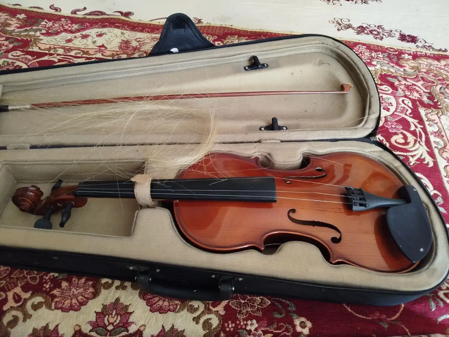 فروش ویلون|ویولن|اردبیل, |دیوار