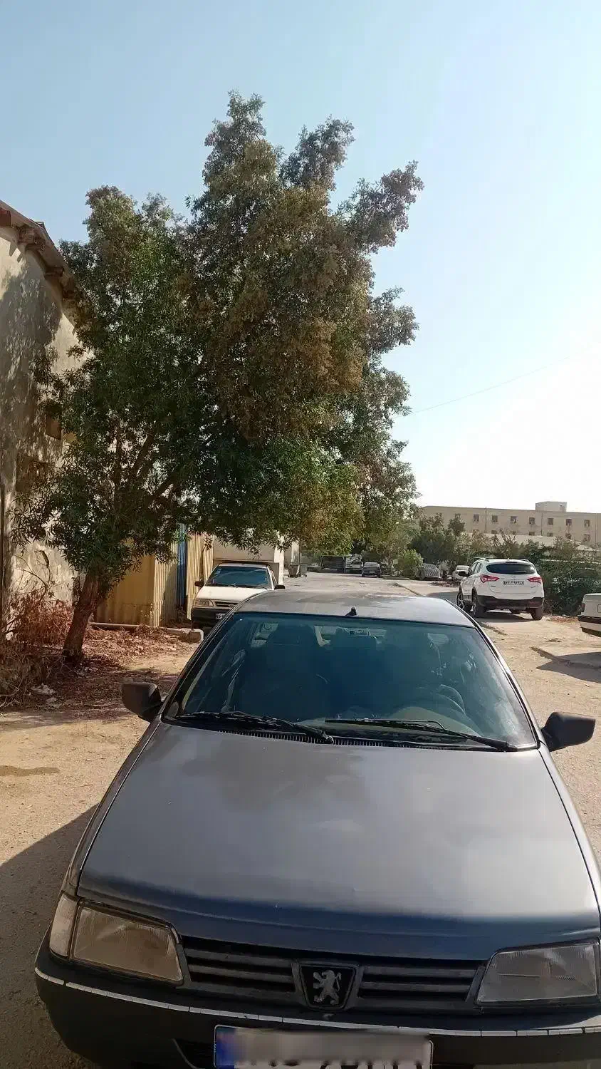 پژو ۴۰۵|خودرو سواری و وانت|بندرعباس, |دیوار