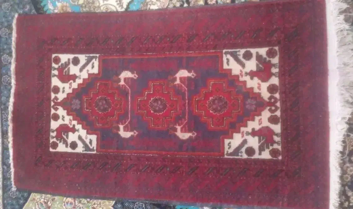 قالی دست بافت|فرش|تربت جام, معدآباد|دیوار