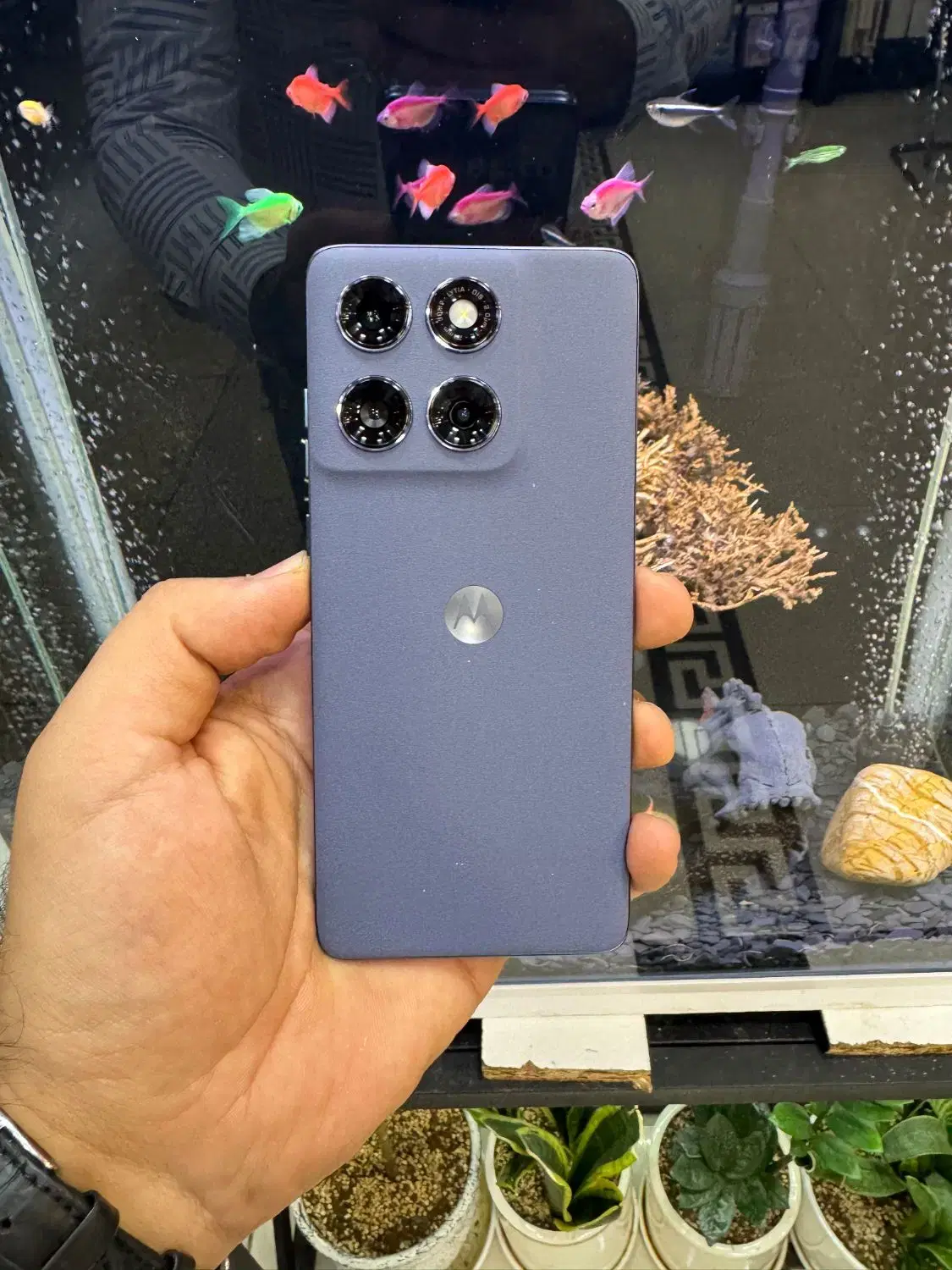 فروش motorola edge 60 fusion با گارانتی اصلی|موبایل|تهران, جمهوری|دیوار