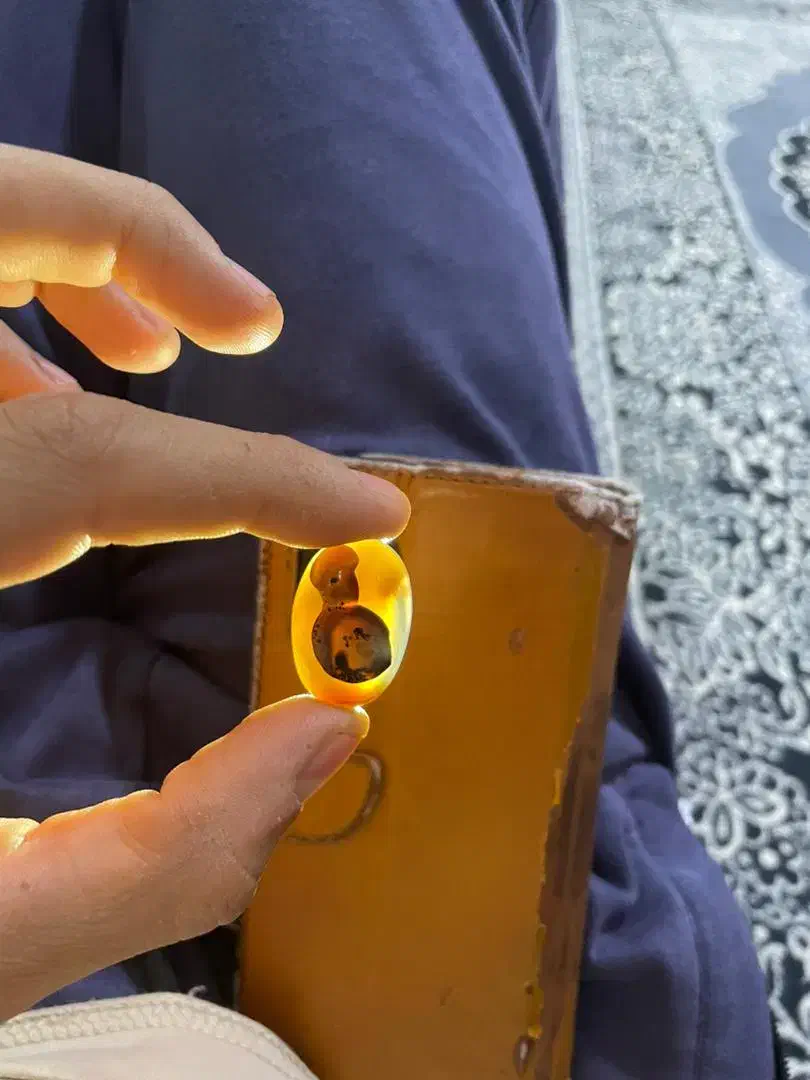 شجر مصور|جواهرات|اهواز, امانیه|دیوار