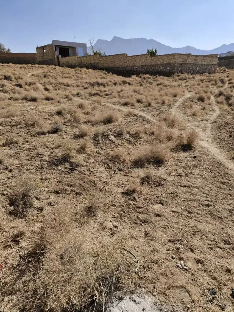 زمین سعید اباد|فروش زمین و ملک کلنگی|تفت, |دیوار