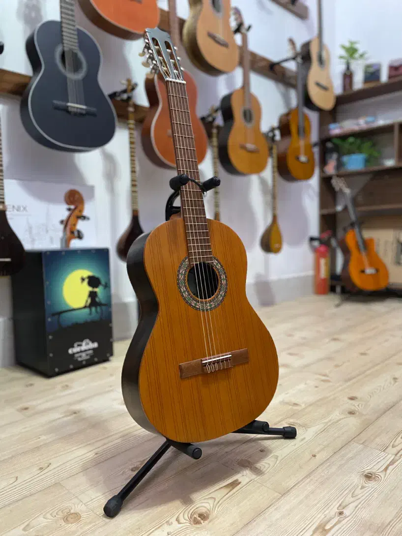 گیتار پارسی|گیتار، بیس، امپلیفایر|بیرجند, |دیوار