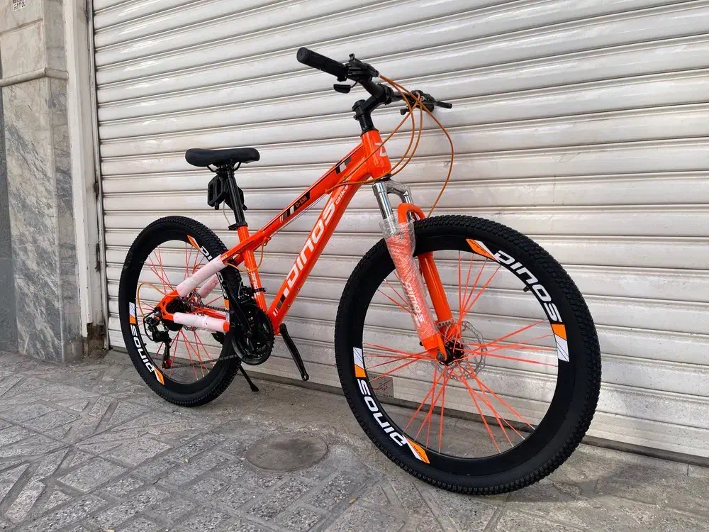 دوچرخه دینوس انتخابی مطمئن24.26|دوچرخه، اسکیت، اسکوتر|مشهد, هنرور|دیوار