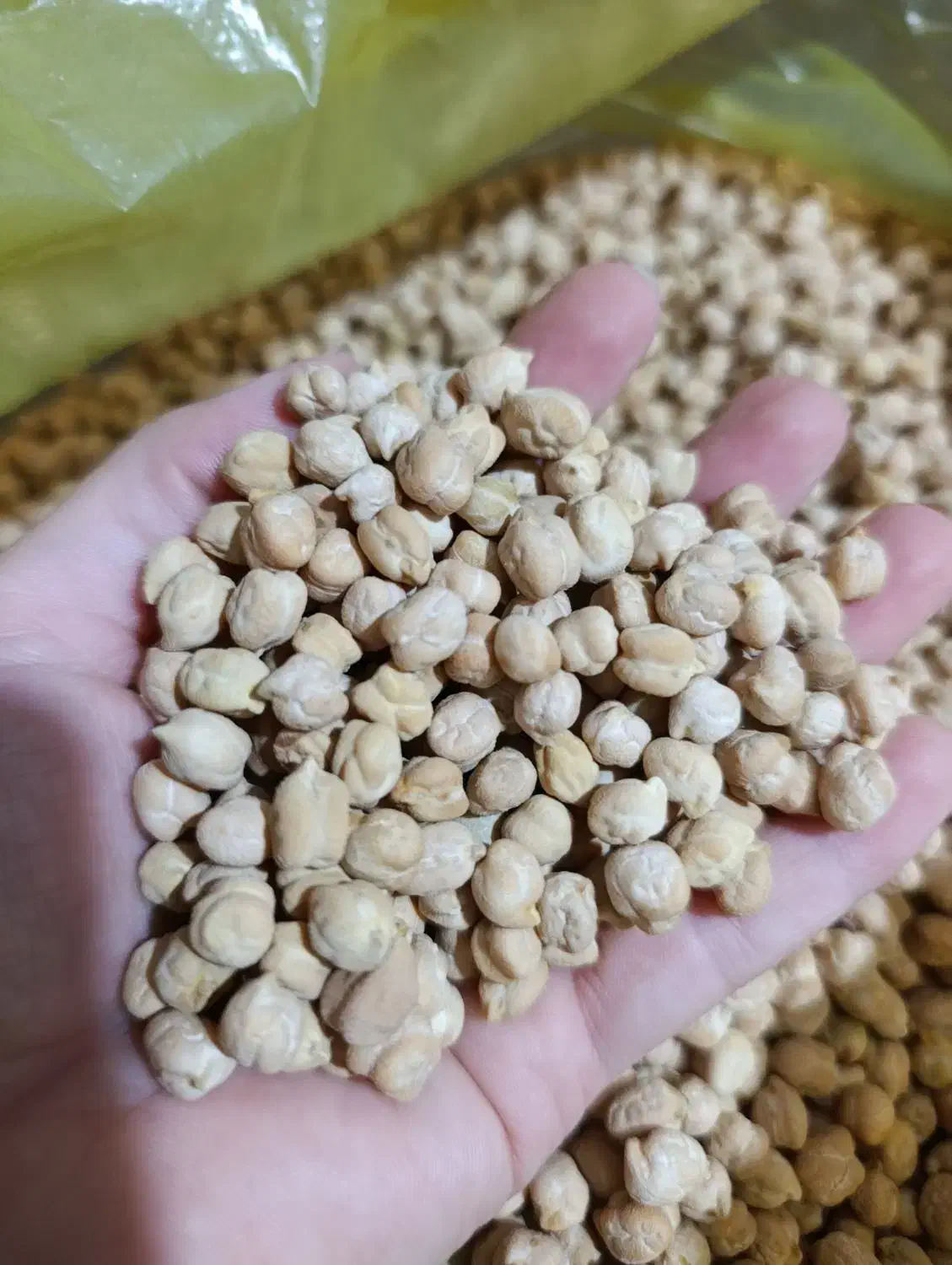 نخود درجه یک|خوردنی و آشامیدنی|بندر انزلی, چهارفریضه|دیوار