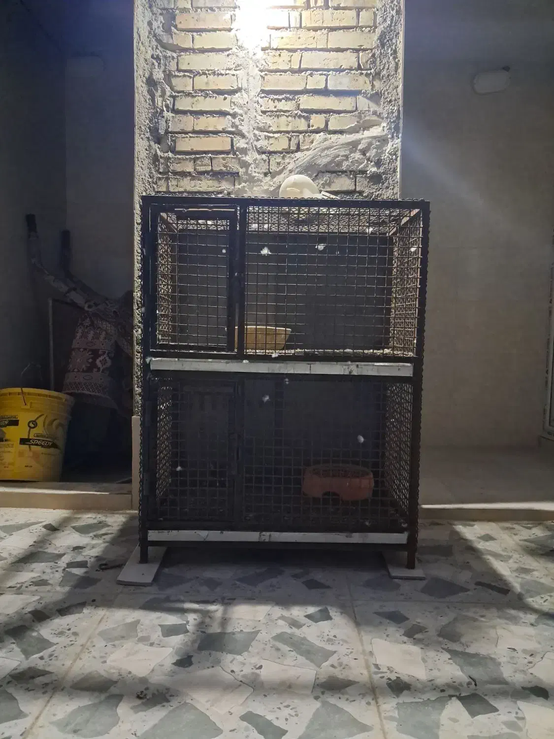 قفس پرنده|لوازم جانبی حیوانات|کارون, |دیوار