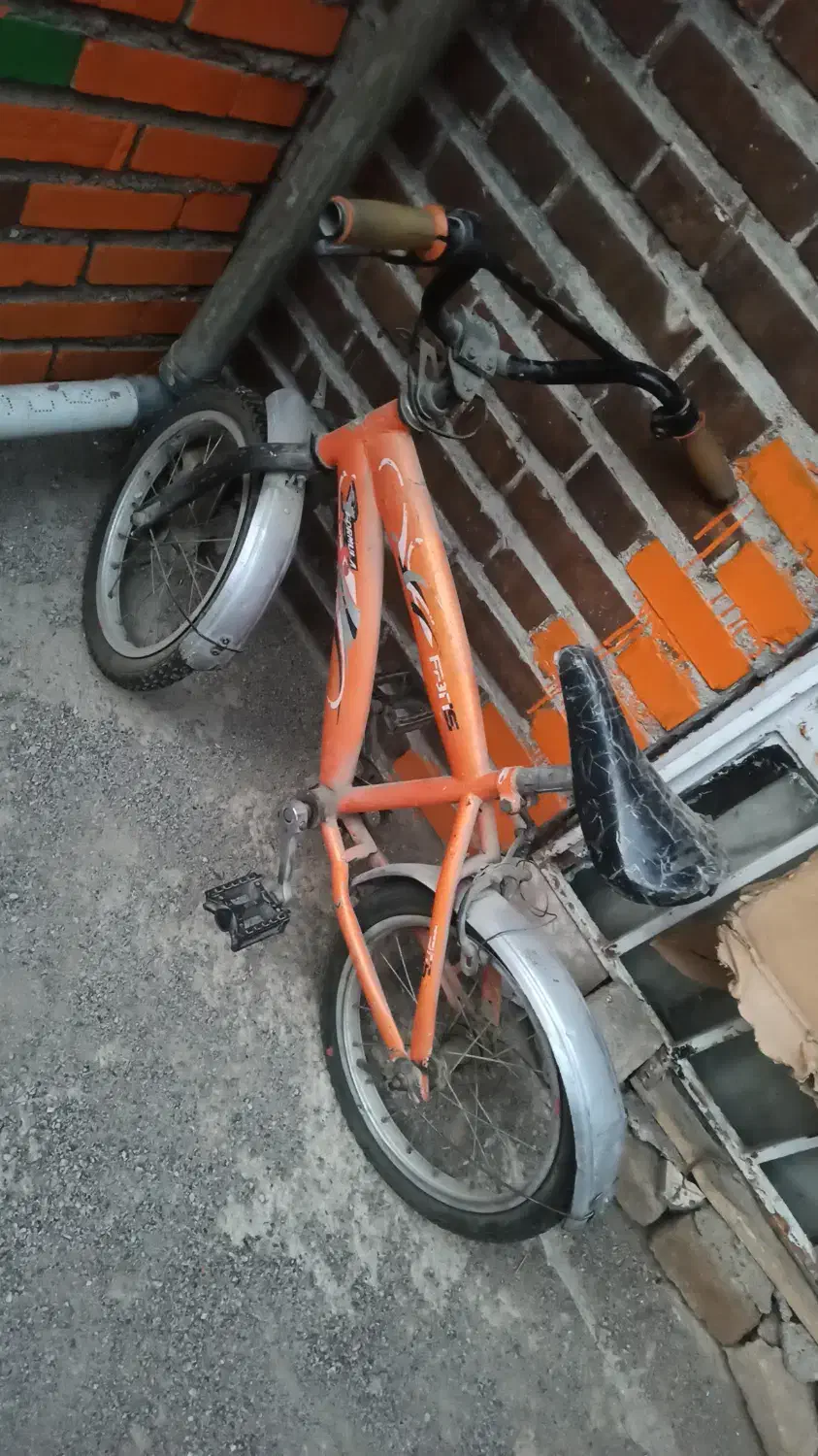 دوچرخه فرشی|دوچرخه، اسکیت، اسکوتر|مشهد, شهرک مهر آباد|دیوار