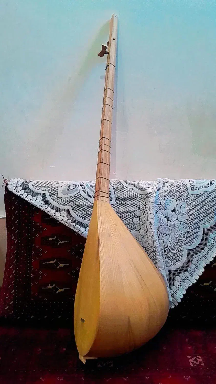 دوتار ترکه ای|سازهای سنتی|تربت جام, مطهری|دیوار