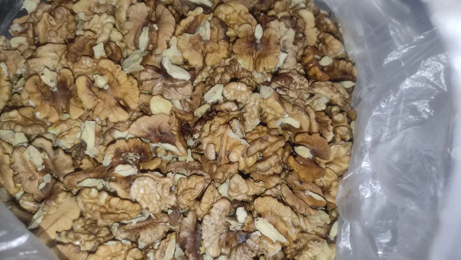 مغز گردو‌ ایرانی تازه امسالی|خوردنی و آشامیدنی|شیراز, قدوسی شرقی|دیوار