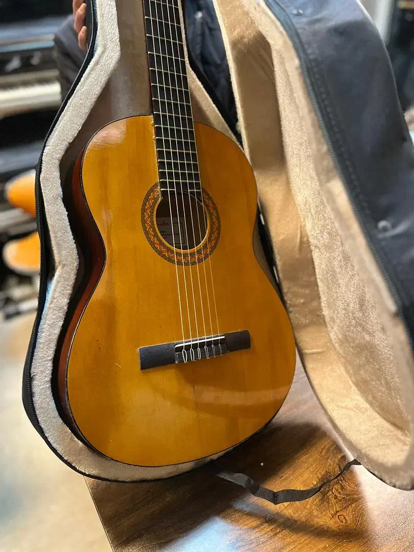 گیتار با کیف آکبند در موزیک ارژنگ|گیتار، بیس، امپلیفایر|پردیس, فاز ۳|دیوار