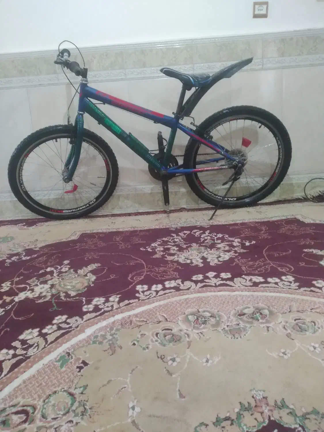 دوچرخه|دوچرخه، اسکیت، اسکوتر|گزیک, |دیوار