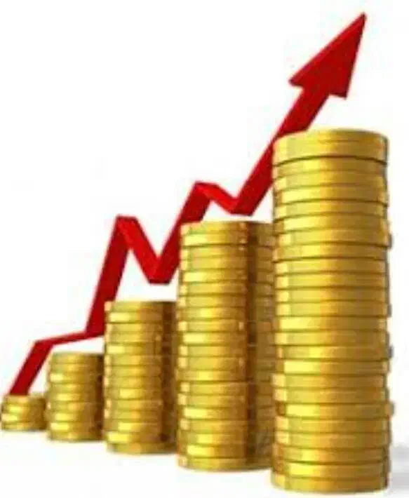 تحقیقات سرمایه تان ۷۰۰ برابر|فعالیت داوطلبانه تحقیقاتی|اردبیل, |دیوار