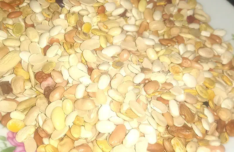 لوبیا و عدس|خوردنی و آشامیدنی|اهواز, حصیرآباد|دیوار