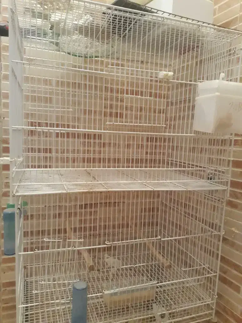 قفس|لوازم جانبی حیوانات|قشم, |دیوار