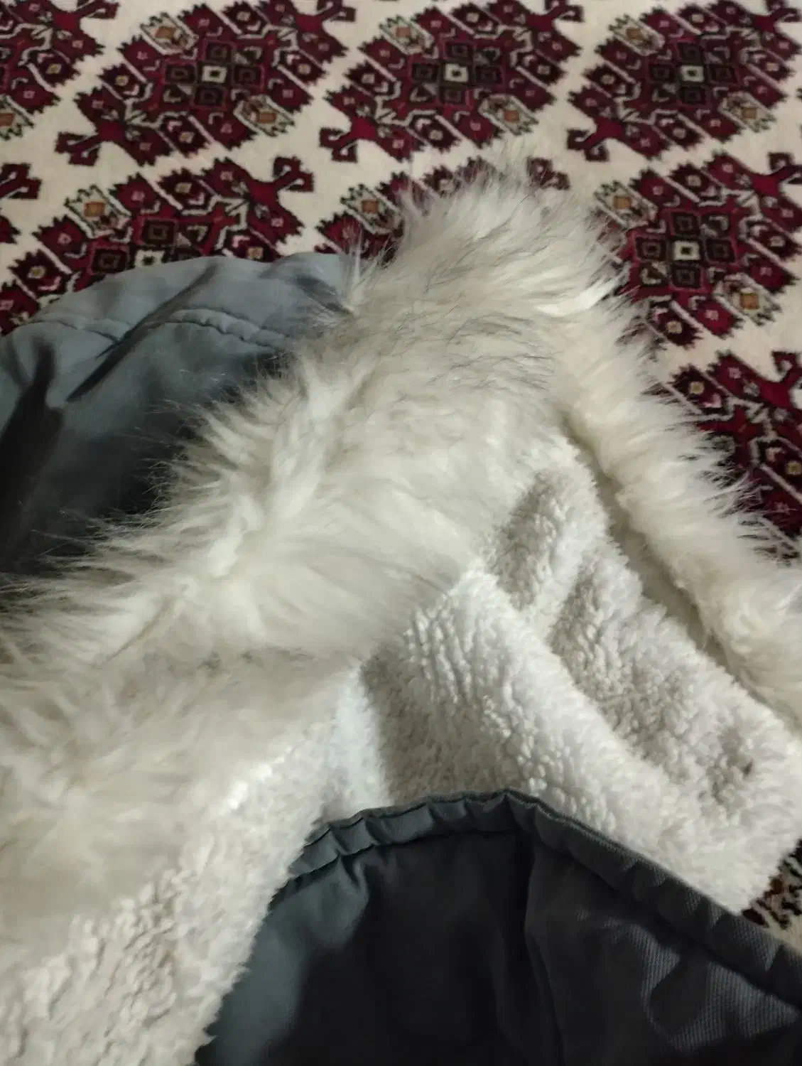 کاپشن تازه داخل کرک دار|لباس|گنبد کاووس, |دیوار