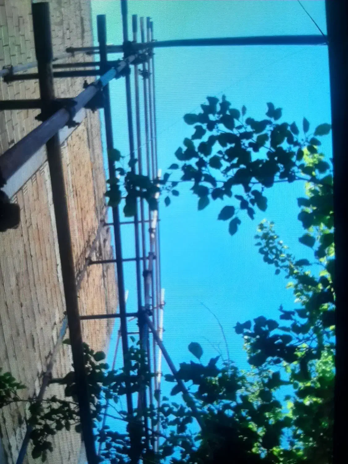 داربست فلزی با تخفیف ویژه|خدمات پیشه و مهارت|نجفآباد, حومه نجف آباد|دیوار