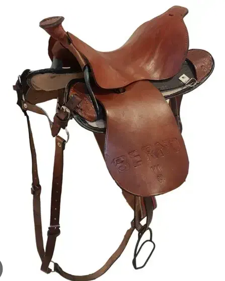 زین اسب|اسب و تجهیزات اسب‌سواری|سنندج, |دیوار