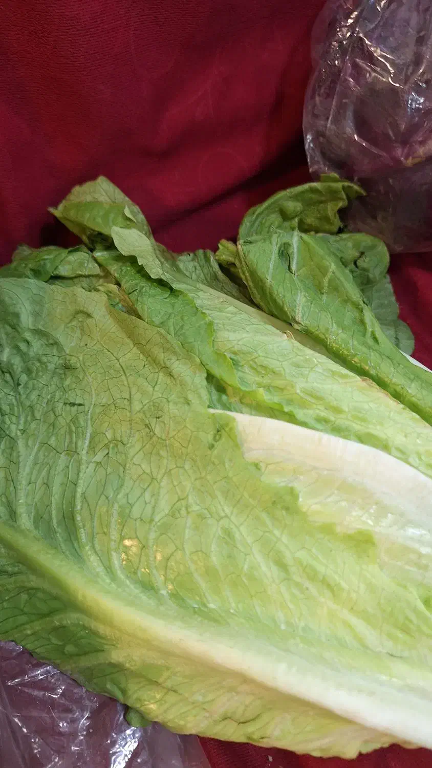 برگ کاهو|خوردنی و آشامیدنی|نیشابور, دارایی|دیوار