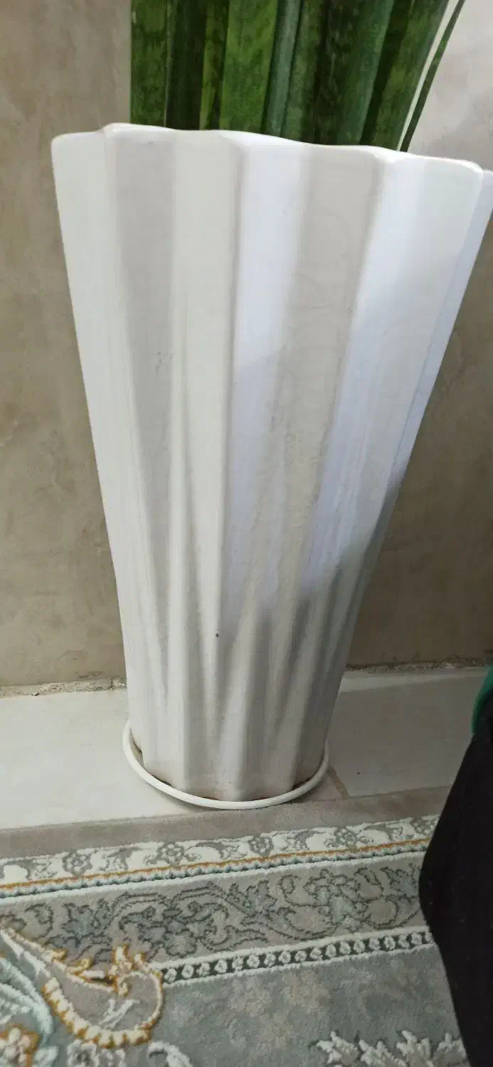 دو عدد گلدان سالم|گل و گیاه طبیعی|پاکدشت, شهرک امام رضا|دیوار