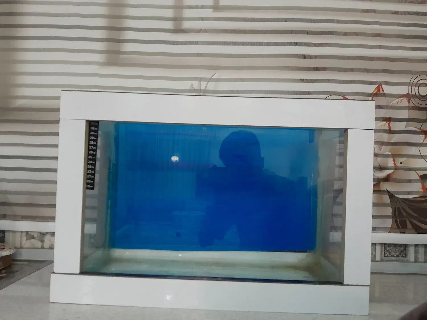 آکواریم|ماهی|اسلامشهر, مظفریه|دیوار