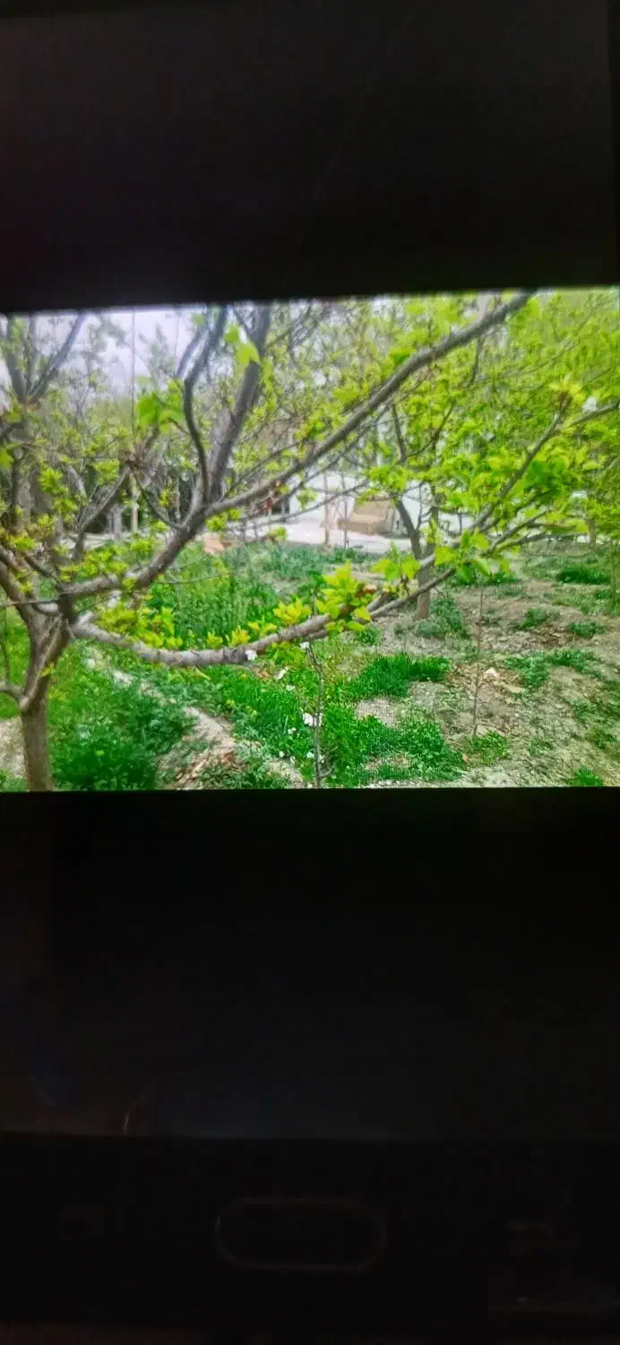 فروش باغ ۵۰۰ متری ۱ خوابه در بوستان ناژوان|فروش زمین و ملک کلنگی|اصفهان, بوستان ناژوان|دیوار