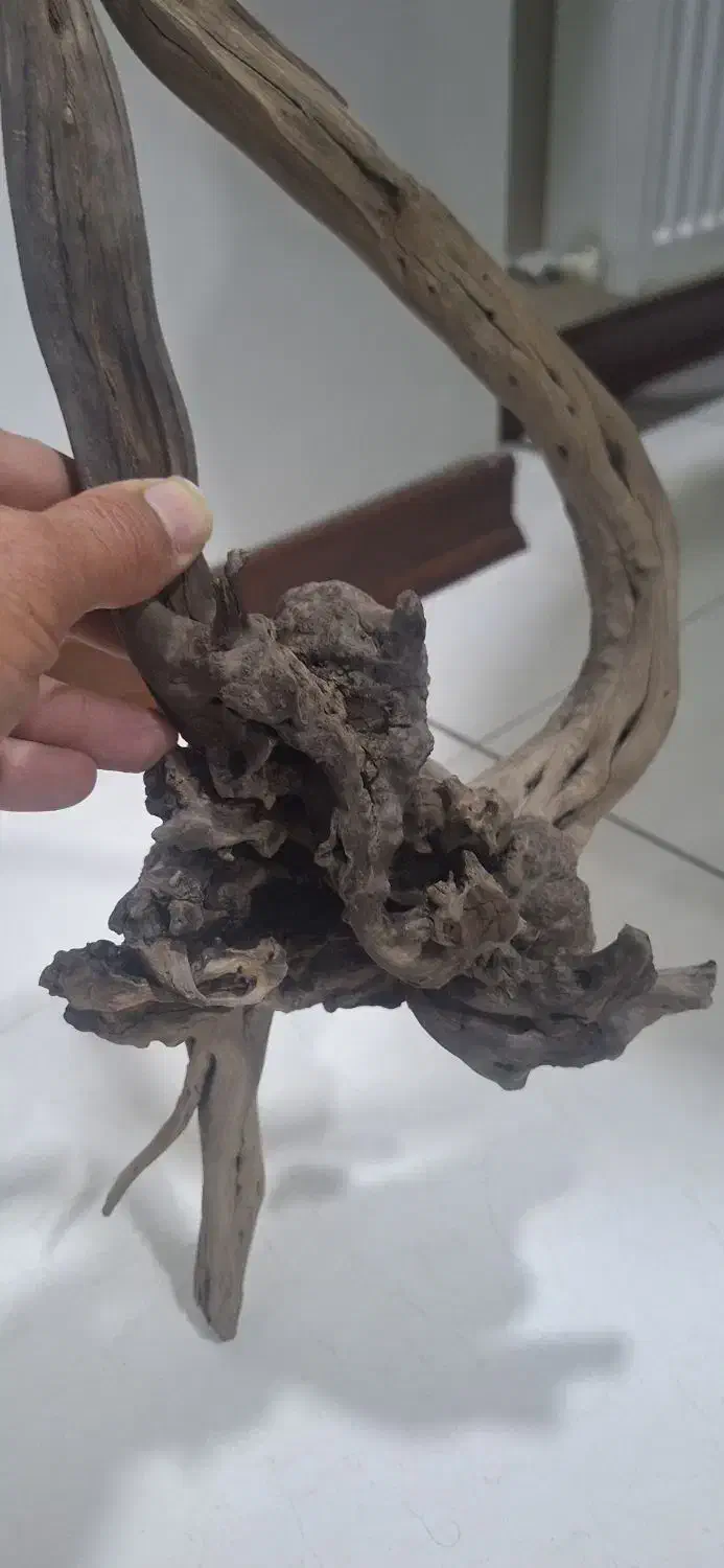 چوب اکواریوم|ماهی|تهران, تهرانسر شرقی|دیوار