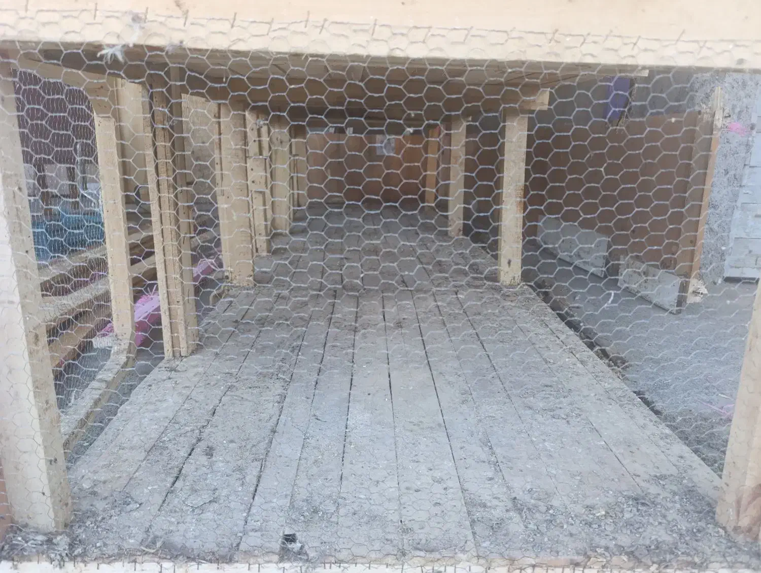 قفس برای انواع پرنده و جوجه|لوازم جانبی حیوانات|فاضل آباد, |دیوار