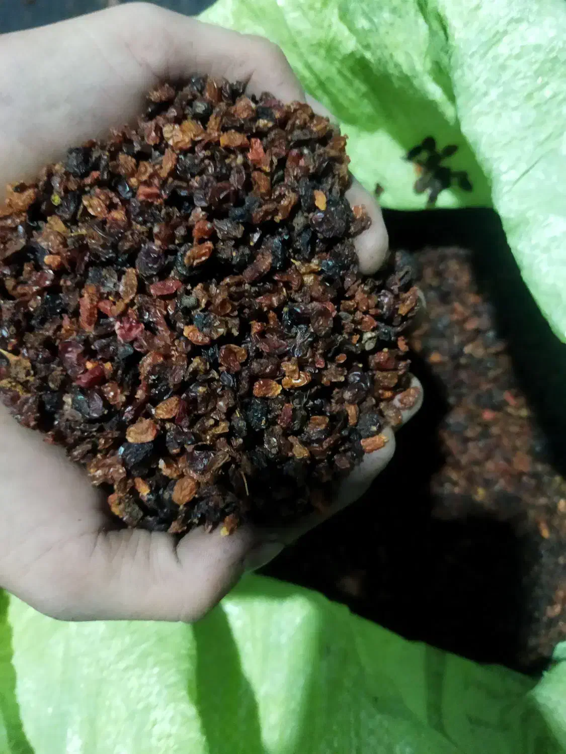 زرشک قرمز و زغال اخته خشک|عمده‌فروشی|شهریار, شهرک وائین|دیوار