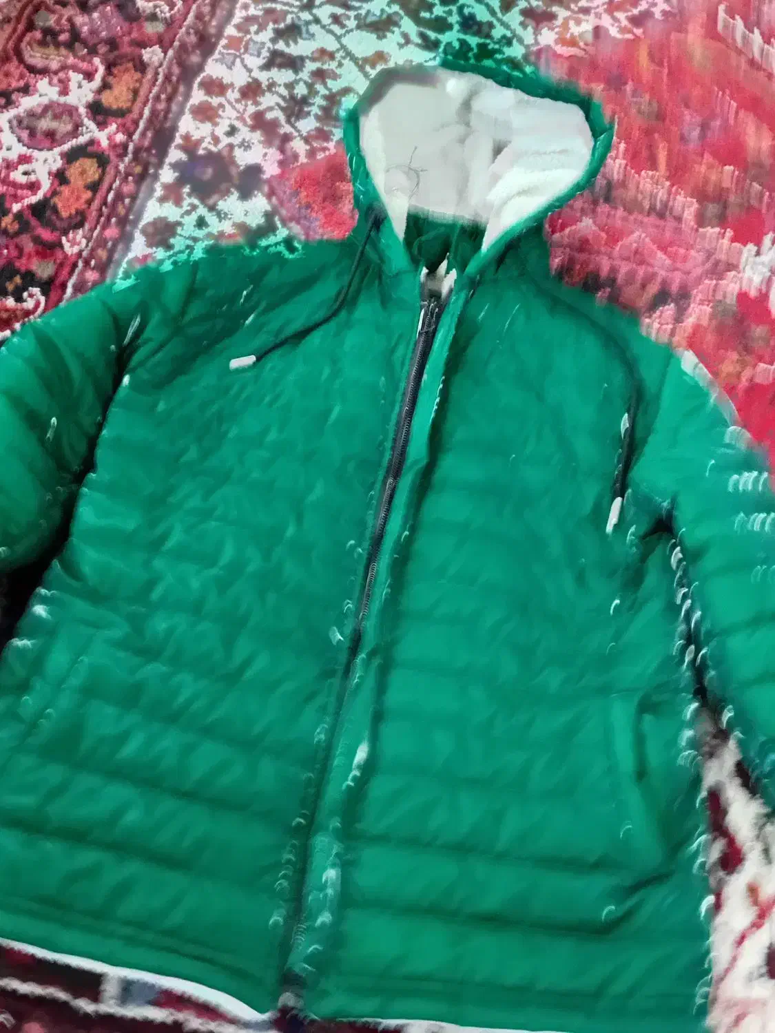 کاپشن اسپرت زیبا|لباس|ایلخچی, |دیوار